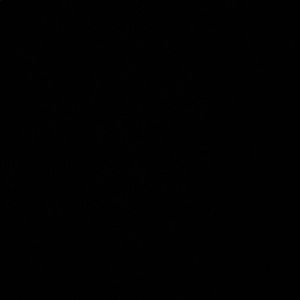 Meet your Posher, Pam